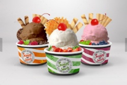 Disposable Custom Printed Double WalI Ice Cream Cups