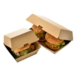 Kraft Paper Fry Chicken Hamburger Packaging Box